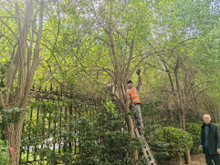 冬季修剪正當(dāng)時(shí)361.png 冬季修剪正當(dāng)時(shí)361.png