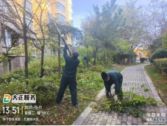 冬季修剪正當(dāng)時(shí)362.png 冬季修剪正當(dāng)時(shí)362.png