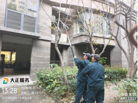 冬季修剪正當(dāng)時(shí)466.png 冬季修剪正當(dāng)時(shí)466.png