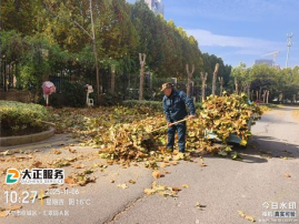 冬季修剪正當(dāng)時(shí)597.png 冬季修剪正當(dāng)時(shí)597.png