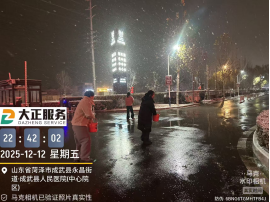以雪為令，聞雪而動 ——山東大正物業(yè)服務集團全力開展掃雪除冰，守護業(yè)主平安出行556.png