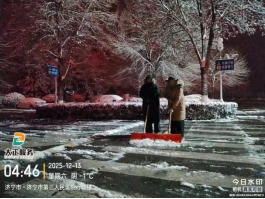 以雪為令，聞雪而動 ——山東大正物業(yè)服務集團全力開展掃雪除冰，守護業(yè)主平安出行560.png
