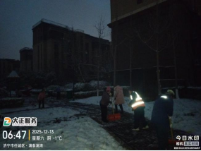 以雪為令，聞雪而動 ——山東大正物業(yè)服務集團全力開展掃雪除冰，守護業(yè)主平安出行586.png